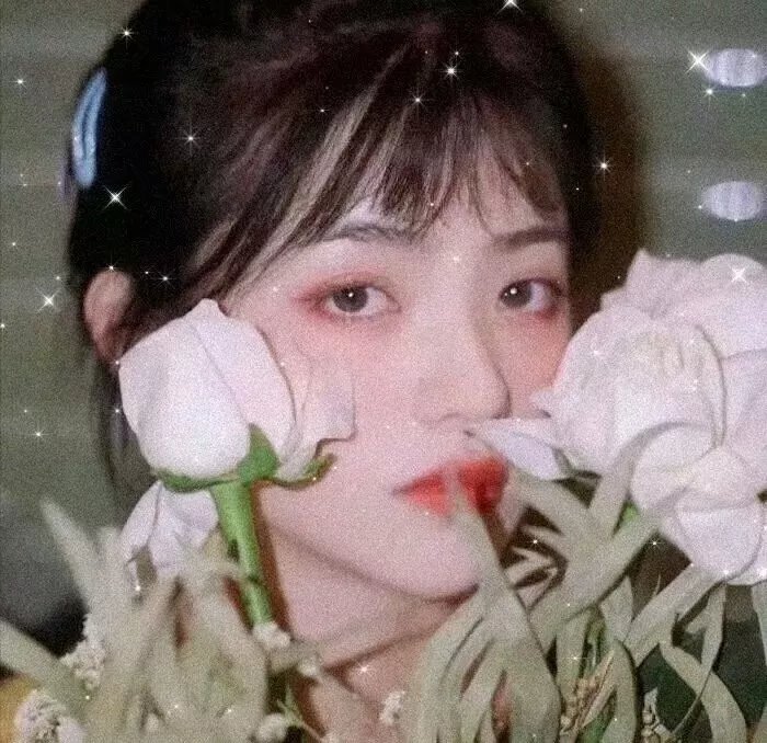 哥白尼的星星